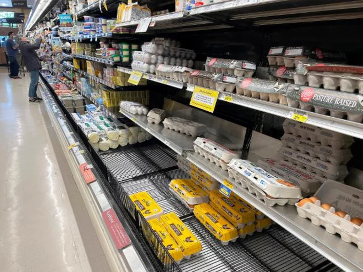 Egg prices are crashing. Here's why