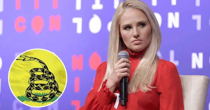 Fox News anchor Tomi Lahren's 'homophobic' tweet comparing gay sex to Gadsden flag enrages internet