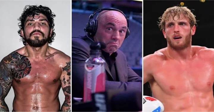 Dillon Danis calls out Joe Rogan after loss against Logan Paul, trolls say 'definition of a keyboard warrior'