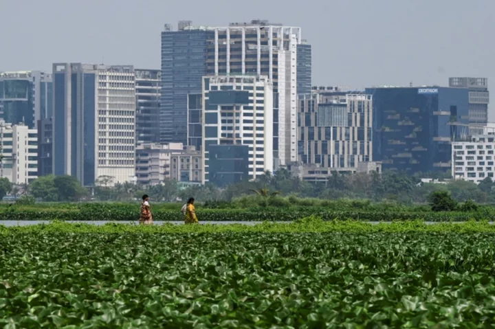 The 'kidneys of Kolkata': Indian wetlands under threat