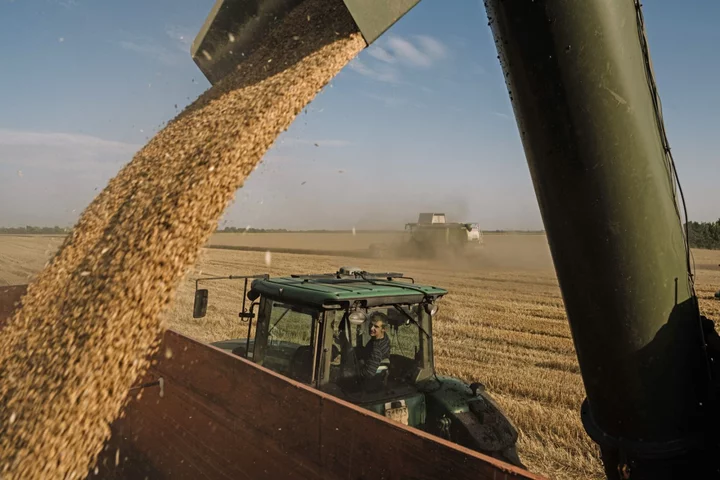 Grain Prices Could Rise Up to 15% From Black Sea Deal Pause, IMF Says